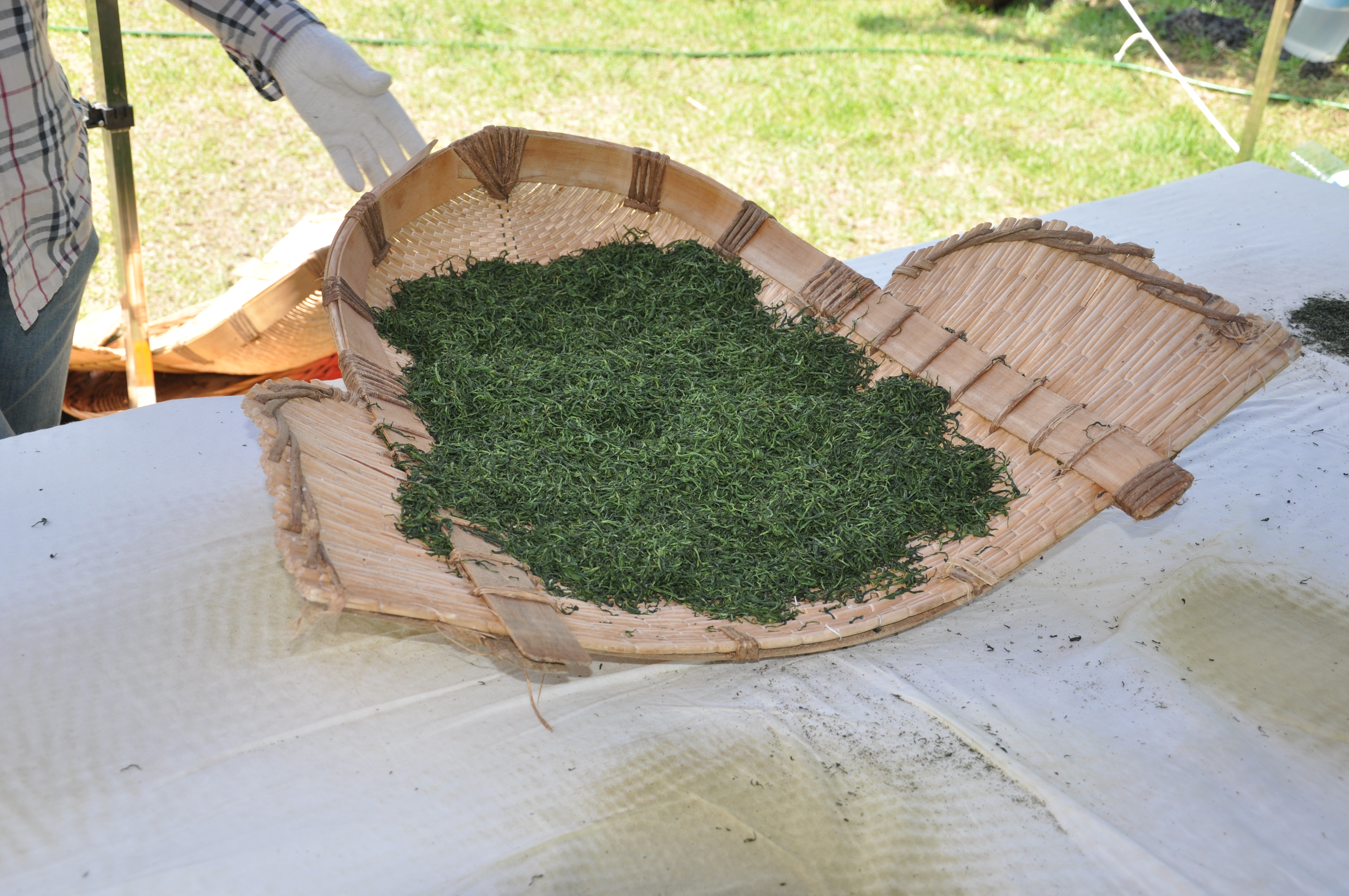 수제차 체험 행사